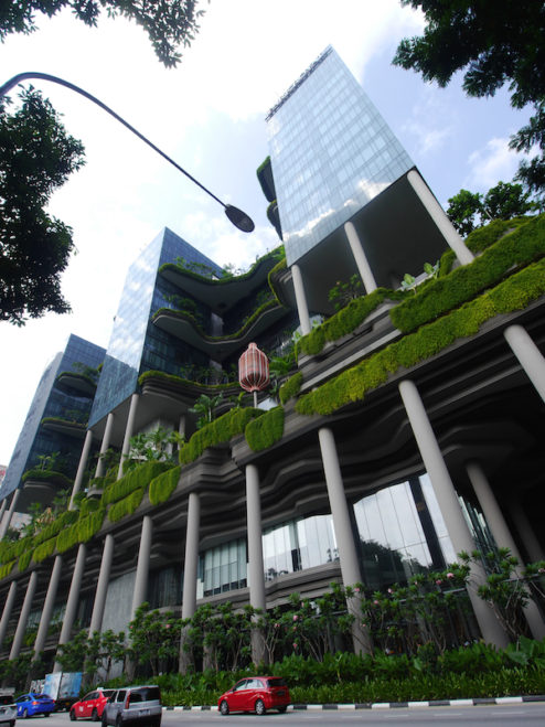Singapore does green buildings. Really. Actually green!